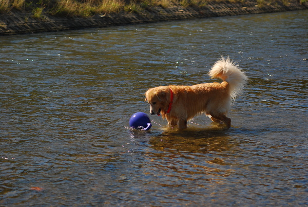 DSC_0272.JPG