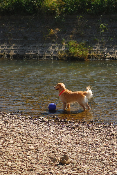 DSC_0271.JPG