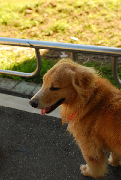 DSC_0293.JPG