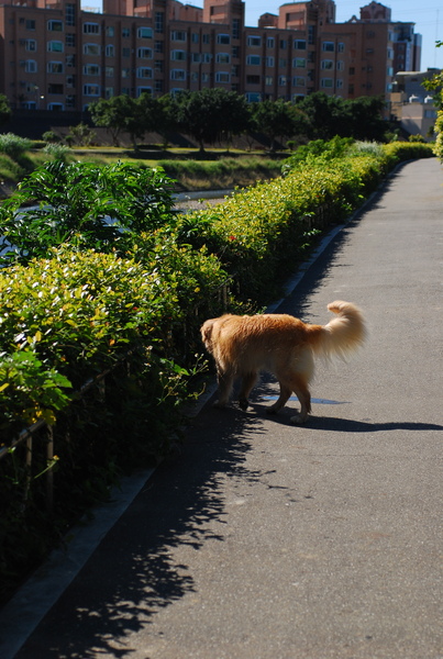 DSC_0292.JPG