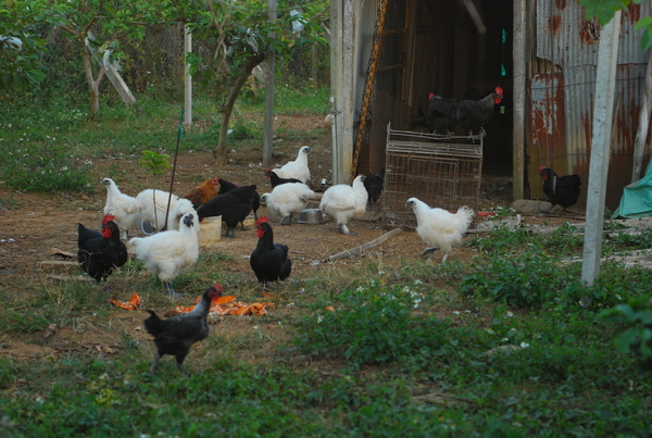 DSC_0257.JPG