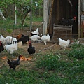 DSC_0257.JPG