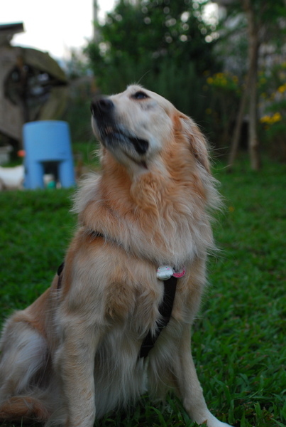 DSC_0276.JPG
