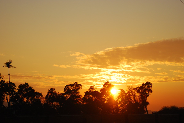 DSC_0263.JPG