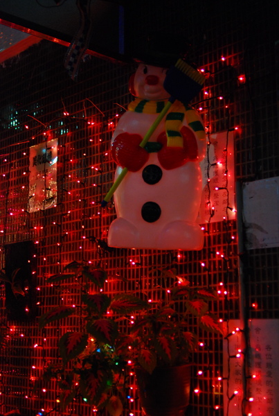 DSC_0131.JPG