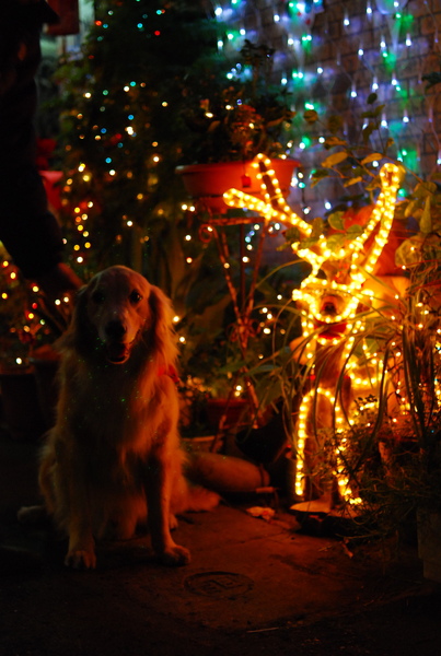 DSC_0139.JPG