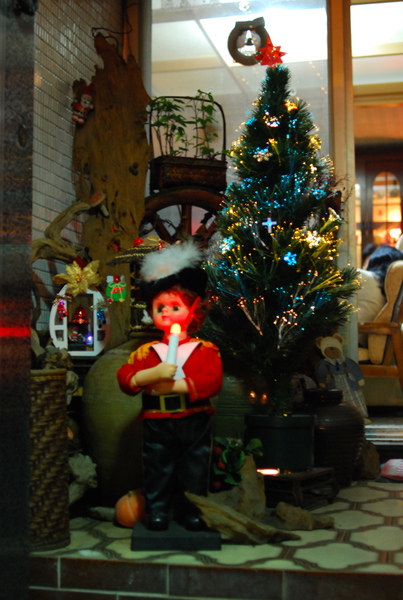 DSC_0154.JPG