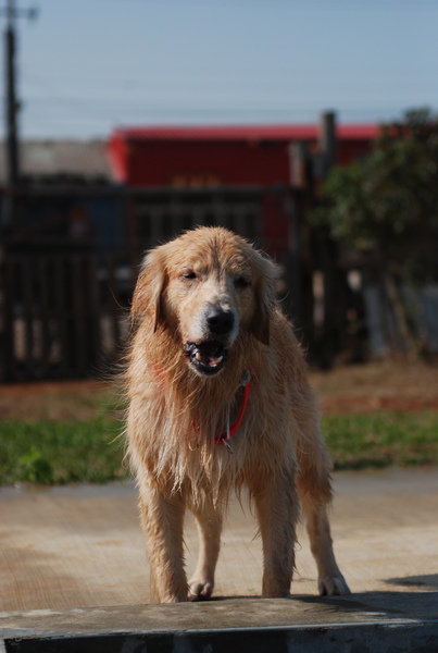 DSC_0340.JPG
