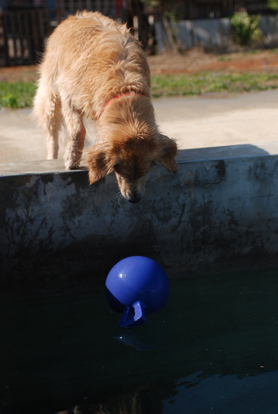 DSC_0343.JPG