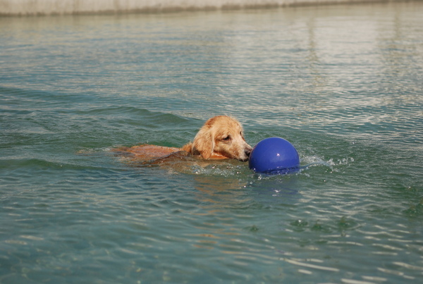 DSC_0393.JPG