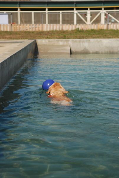 DSC_0400.JPG
