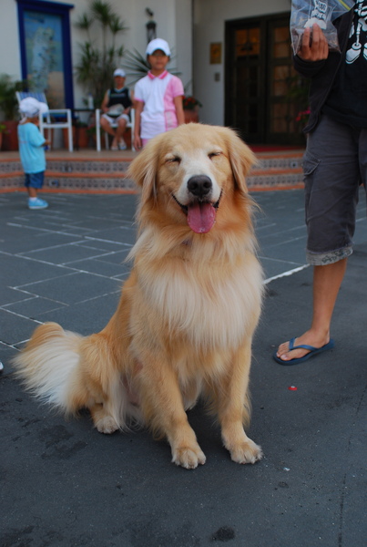 DSC_0142.JPG