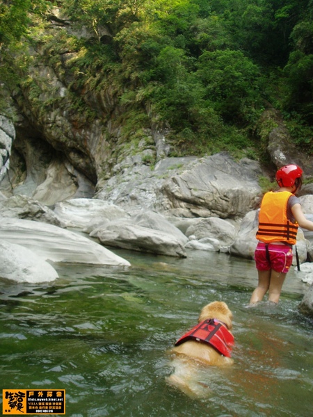 P1010075.jpg