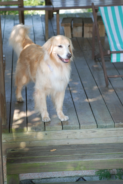 DSC_0406.JPG