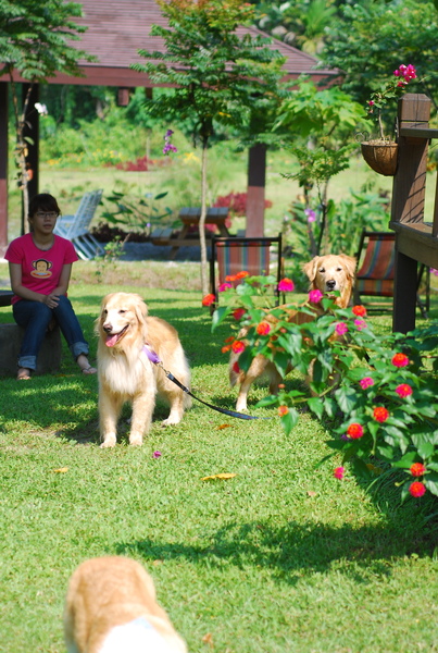 DSC_0459.JPG