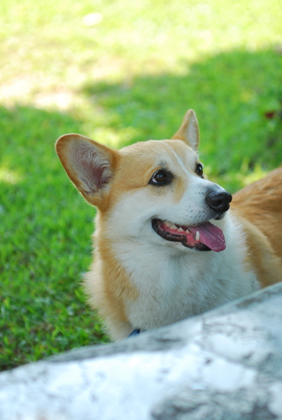 DSC_0492.JPG