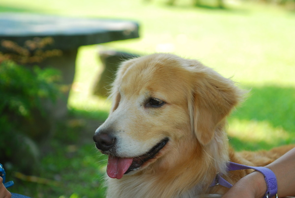 DSC_0497.JPG