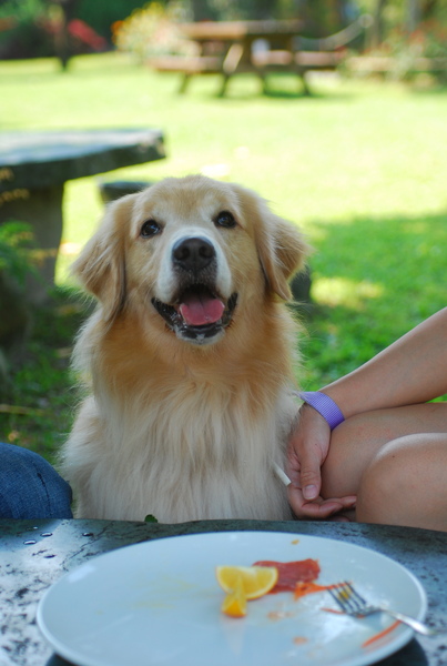 DSC_0517.JPG
