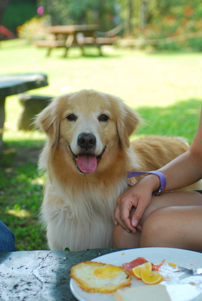 DSC_0502.JPG