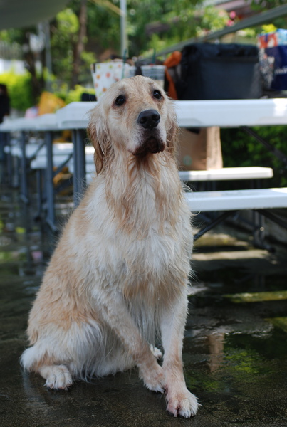 DSC_0715.JPG