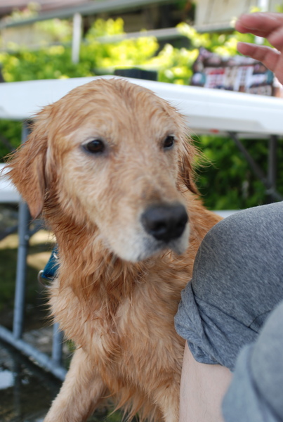 DSC_0722.JPG