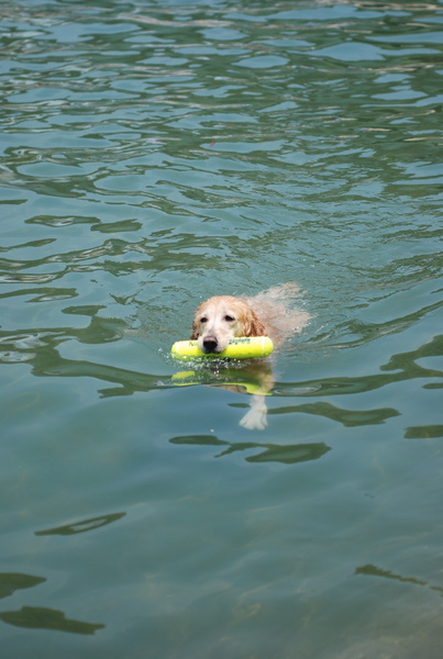 DSC_0712.JPG