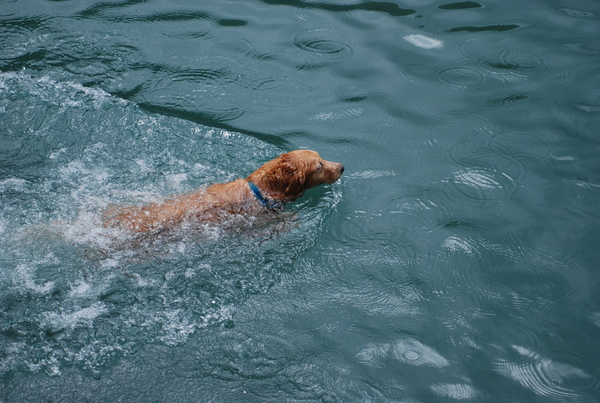 DSC_0115.JPG