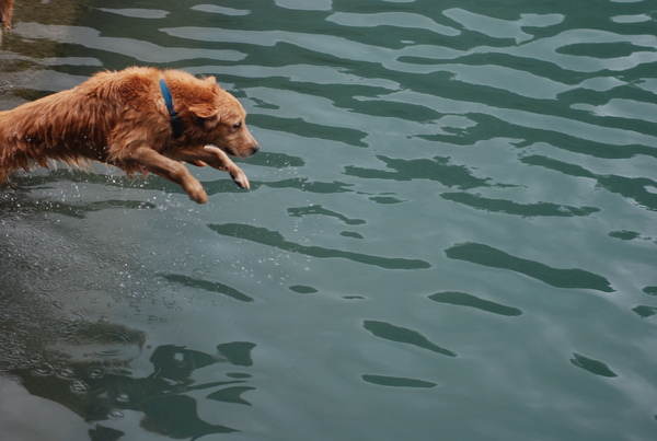 DSC_0145.JPG