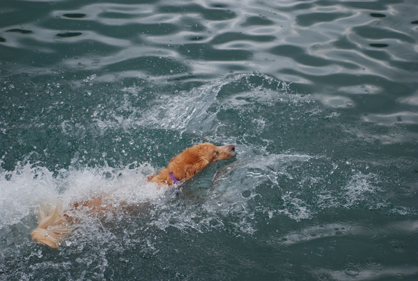 DSC_0306.JPG