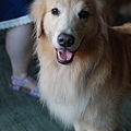 DSC_0736.JPG