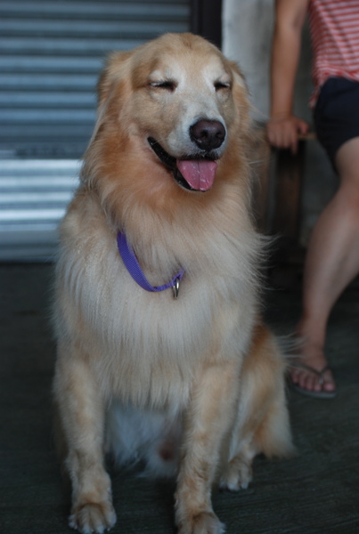 DSC_0745.JPG