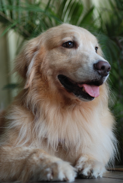 DSC_0777.JPG