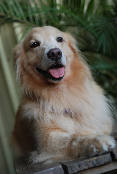 DSC_0785.JPG