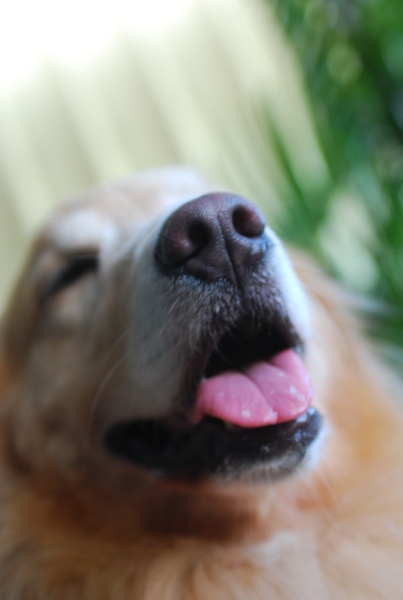 DSC_0811.JPG