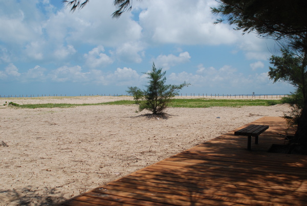 DSC_0174.JPG