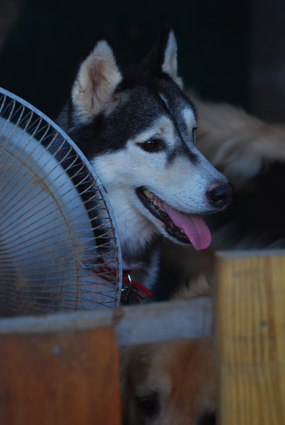 DSC_0304.JPG