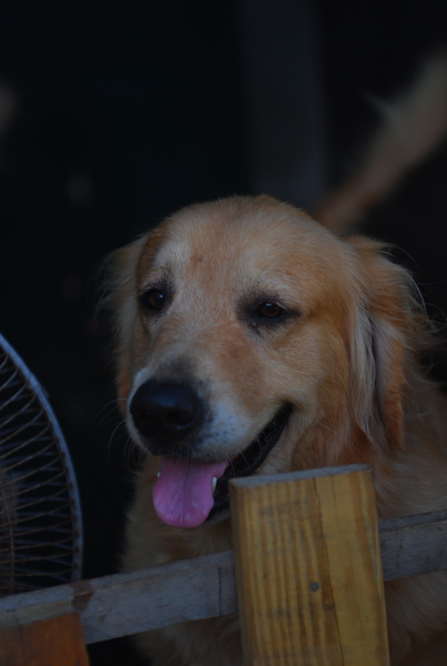 DSC_0308.JPG