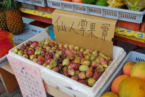 DSC_0519.JPG