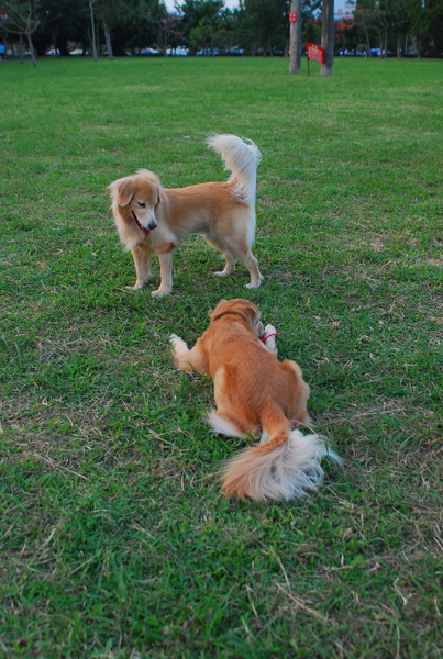 DSC_0014.JPG