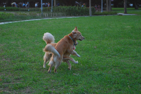 DSC_0001.JPG