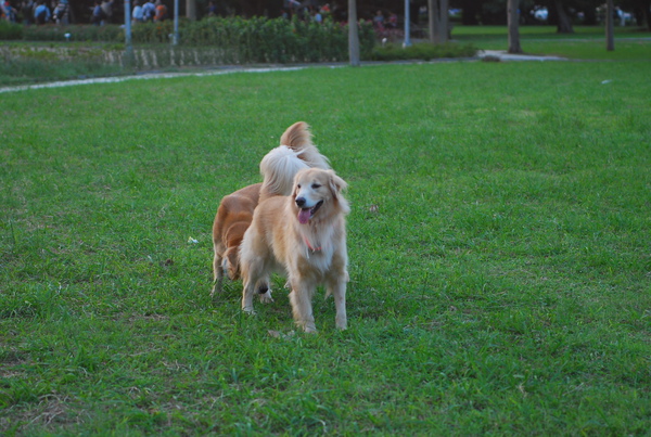 DSC_0003.JPG