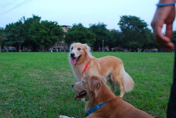 DSC_0052.JPG