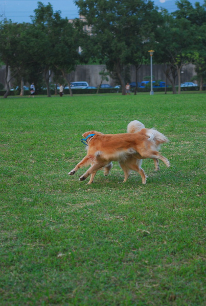 DSC_0016.JPG