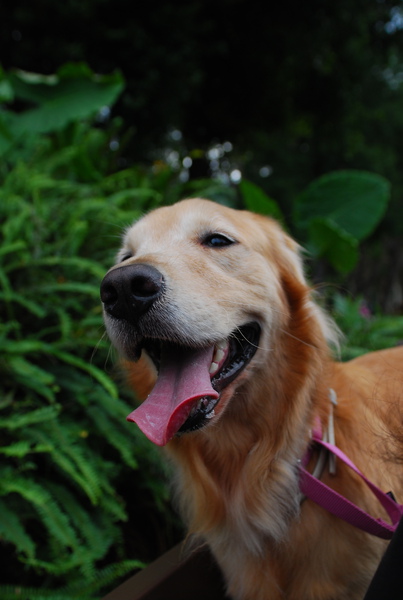 DSC_0138.JPG
