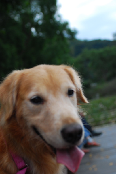 DSC_0139.JPG
