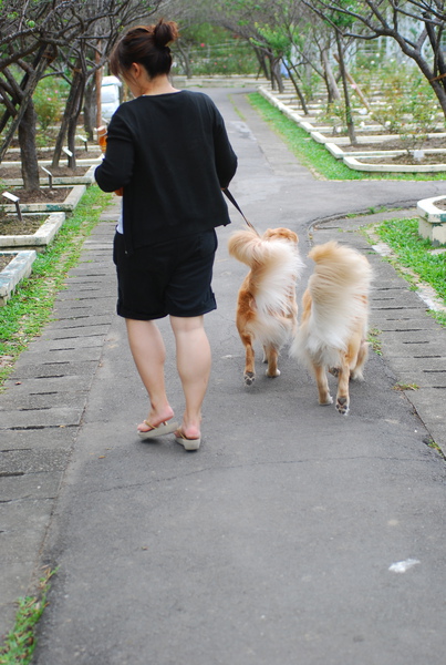 DSC_0155.JPG