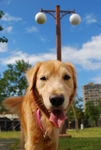 DSC_0179.JPG