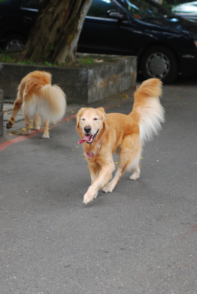 DSC_0166.JPG