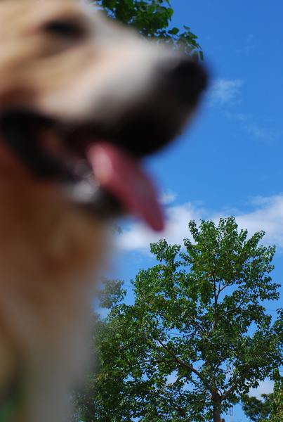 DSC_0174.JPG