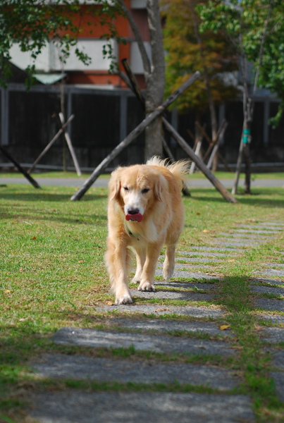 DSC_0167.JPG
